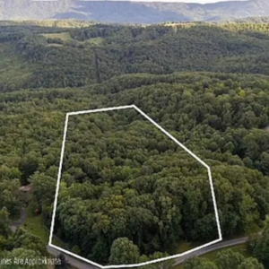 805 Hemlock Lane, Princeton WV by Access Land Co A