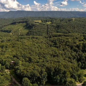 805 Hemlock Lane, Princeton WV by Access Land Co C