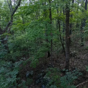 805 Hemlock Lane, Princeton WV by Access Land Co I