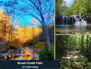 805 Hemlock Lane, Princeton by Access Land Co 16