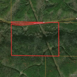 8648 Groundhog Rd, Adger, AL 35006 by Access Land Co A