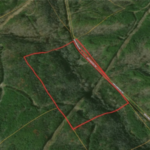8648 Groundhog Rd, Adger, AL 35006 by Access Land Co B