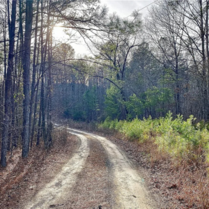 8648 Groundhog Rd, Adger, AL 35006 by Access Land Co C