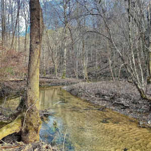 8648 Groundhog Rd, Adger, AL 35006 by Access Land Co E