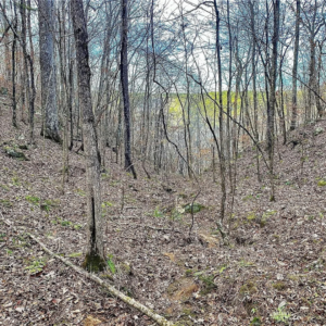 8648 Groundhog Rd, Adger, AL 35006 by Access Land Co F