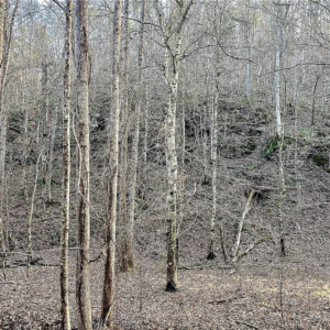 8648 Groundhog Rd, Adger, AL 35006 by Access Land Co G