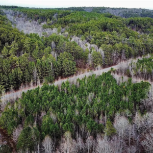 8648 Groundhog Rd, Adger, AL 35006 by Access Land Co I