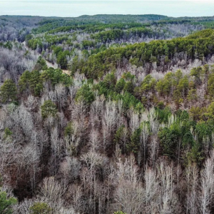 8648 Groundhog Rd, Adger, AL 35006 by Access Land Co K