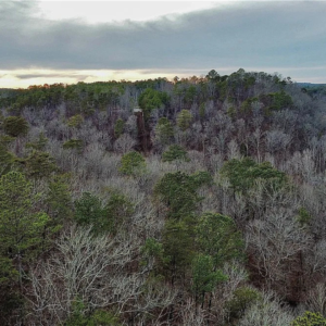 8648 Groundhog Rd, Adger, AL 35006 by Access Land Co M