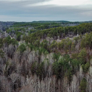 8648 Groundhog Rd, Adger, AL 35006 by Access Land Co N