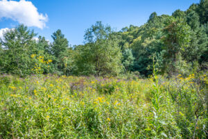 Cox Store Rd SW, Floyd, VA 24091-10