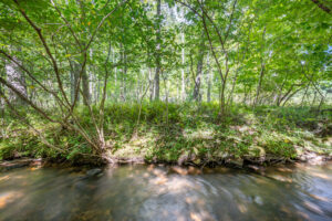 Cox Store Rd SW, Floyd, VA 24091-13