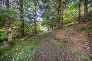 Cox Store Rd SW, Floyd, VA 24091-15