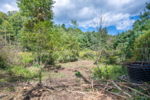 Cox Store Rd SW, Floyd, VA 24091-17