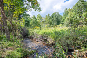 Cox Store Rd SW, Floyd, VA 24091-18