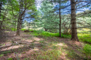 Cox Store Rd SW, Floyd, VA 24091-21