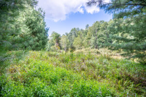 Cox Store Rd SW, Floyd, VA 24091-22