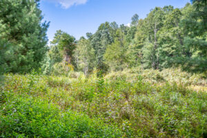 Cox Store Rd SW, Floyd, VA 24091-23