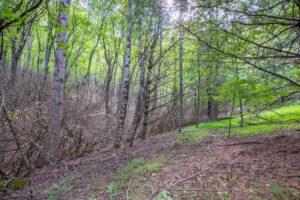 Cox Store Rd SW, Floyd, VA 24091-24