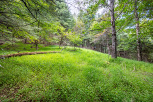 Cox Store Rd SW, Floyd, VA 24091-25