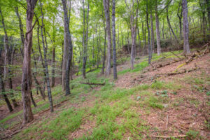 Cox Store Rd SW, Floyd, VA 24091-26