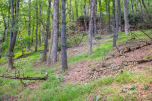 Cox Store Rd SW, Floyd, VA 24091-27