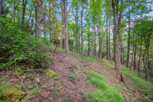Cox Store Rd SW, Floyd, VA 24091-29