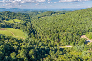 Cox Store Rd SW, Floyd, VA 24091-3