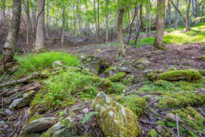 Cox Store Rd SW, Floyd, VA 24091-33