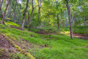 Cox Store Rd SW, Floyd, VA 24091-34