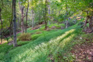 Cox Store Rd SW, Floyd, VA 24091-36