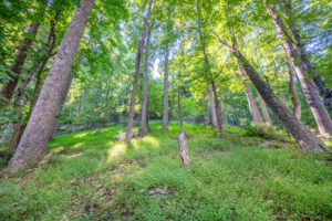 Cox Store Rd SW, Floyd, VA 24091-38