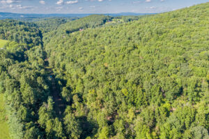 Cox Store Rd SW, Floyd, VA 24091-4