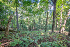 Cox Store Rd SW, Floyd, VA 24091-40