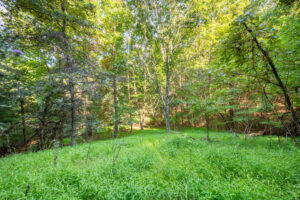 Cox Store Rd SW, Floyd, VA 24091-45