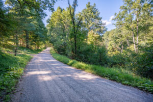 Cox Store Rd SW, Floyd, VA 24091-48