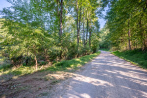 Cox Store Rd SW, Floyd, VA 24091-49