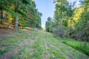 Cox Store Rd SW, Floyd, VA 24091-50