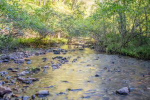 Cox Store Rd SW, Floyd, VA 24091-51
