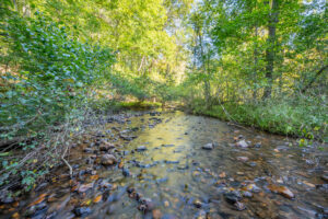 Cox Store Rd SW, Floyd, VA 24091-52