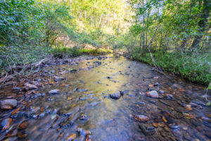 Cox Store Rd SW, Floyd, VA 24091-53