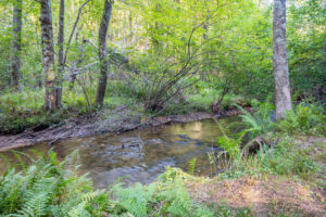 Cox Store Rd SW, Floyd, VA 24091-59