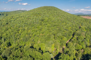 Cox Store Rd SW, Floyd, VA 24091-6