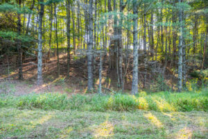 Cox Store Rd SW, Floyd, VA 24091-60