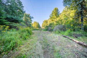 Cox Store Rd SW, Floyd, VA 24091-61