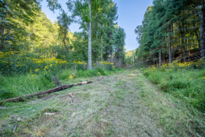 Cox Store Rd SW, Floyd, VA 24091-62