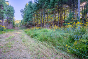 Cox Store Rd SW, Floyd, VA 24091-63
