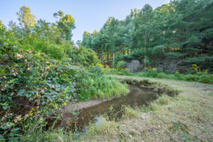 Cox Store Rd SW, Floyd, VA 24091-66