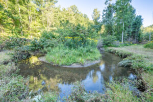 Cox Store Rd SW, Floyd, VA 24091-67