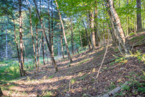 Cox Store Rd SW, Floyd, VA 24091-69